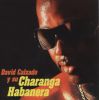 David Calzado y su Charanga Habanera: Soy cubano, soy popular